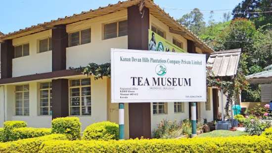 tea museum